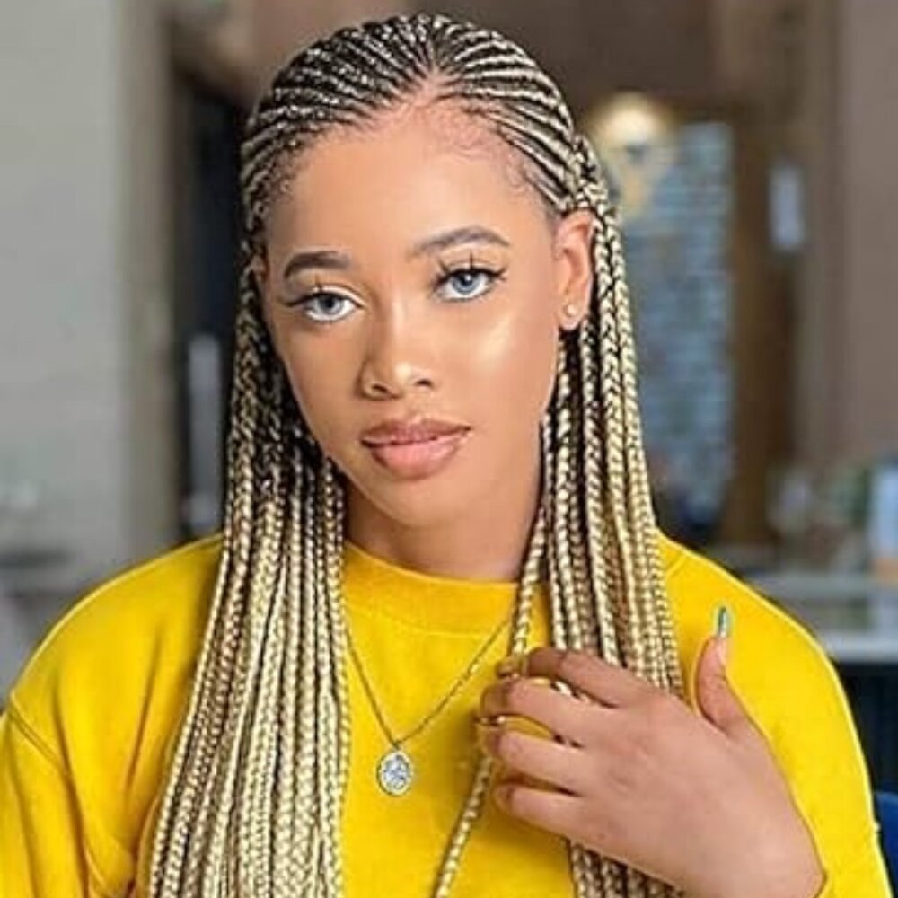 24" Fulani Box Braids 360 Ultra Soft HD Lace Wig